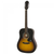 Guitarra Acústica Epiphone FT-100 Modelo: EAFTVSCH3