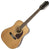 Guitarra Electroacústica de 12 Cuerdas (Docerola) EPIPHONE Natural. Modelo: EA2TNACH1