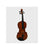 Violín Conservatorio Profesional 4/4 Maple Pearl River Modelo: MV014