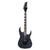 Guitarra Eléctrica Spider IBANEZ Negra Modelo: RG420EG-SBK